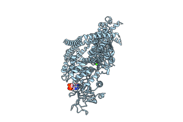9B91 image