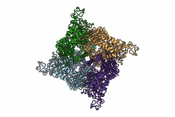 9B94 image