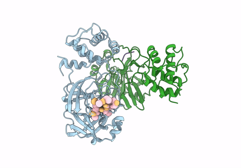9BC1 image