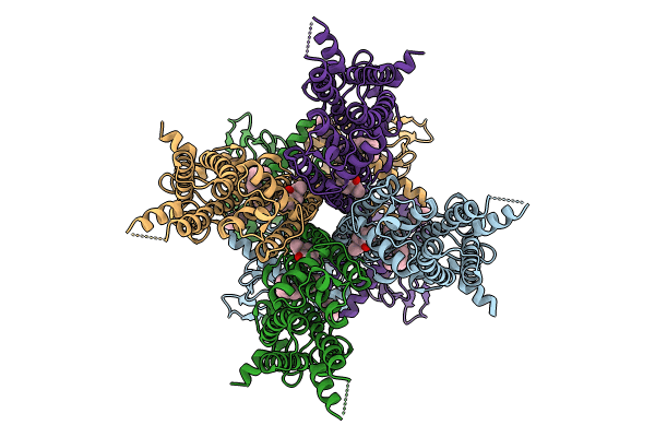 9BC6 image