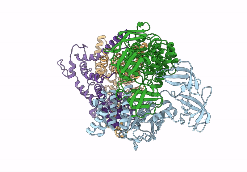 9BCR image
