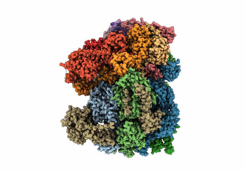 9BCX image