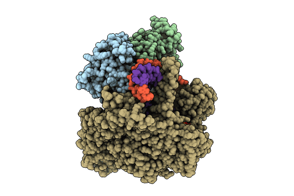 9BDD image