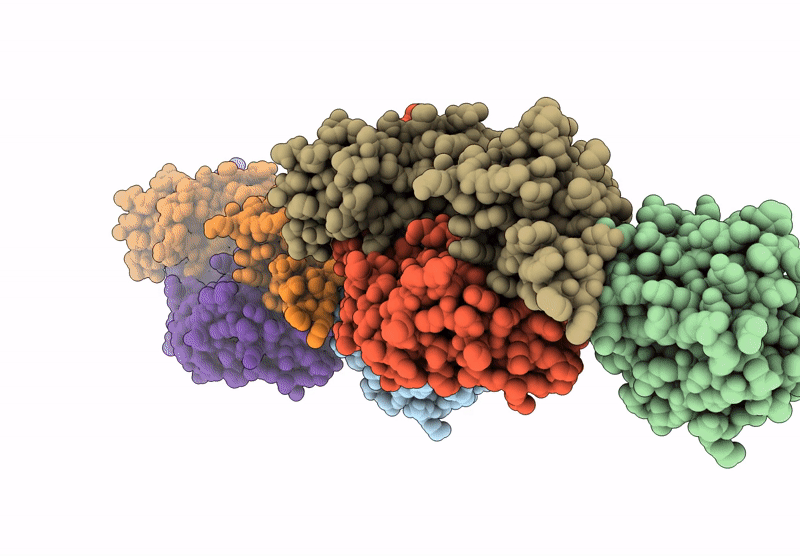 9BDI image