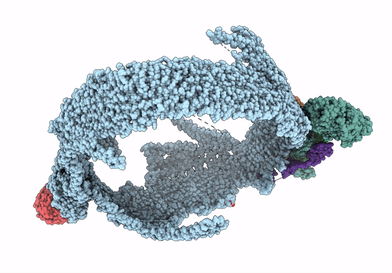 9BDT image