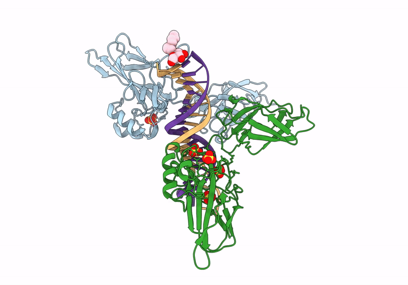 9BDW image