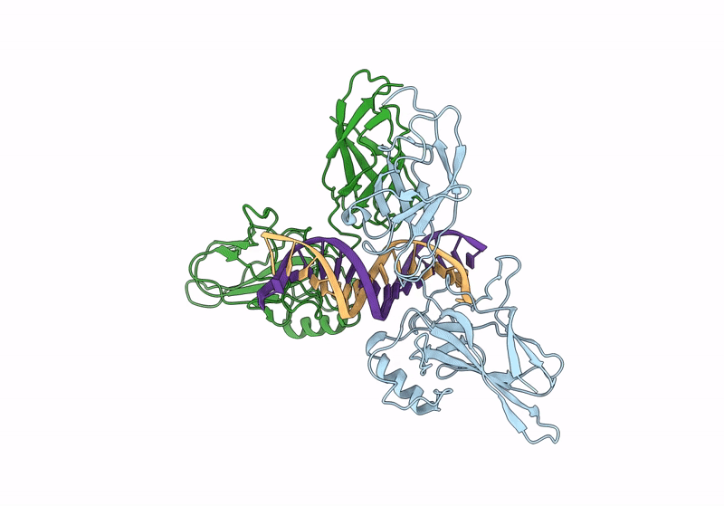 9BDX image