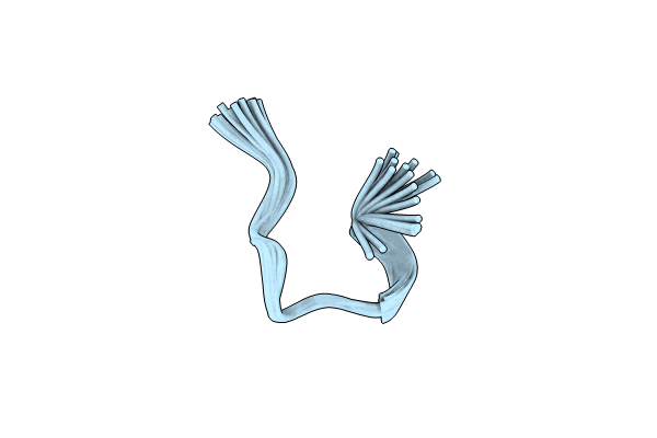 9BFL image