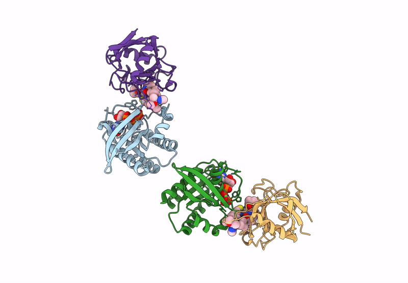 9BG2 image