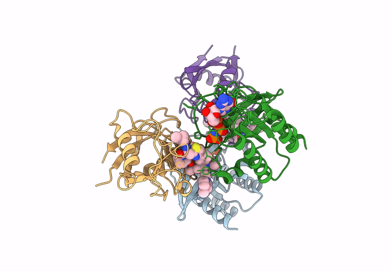 9BG5 image