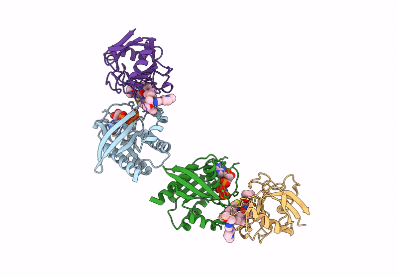 9BGB image