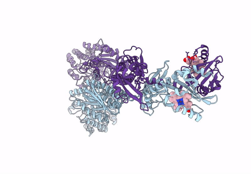 9BGV image