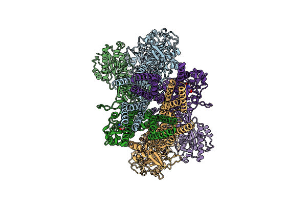9BIB image