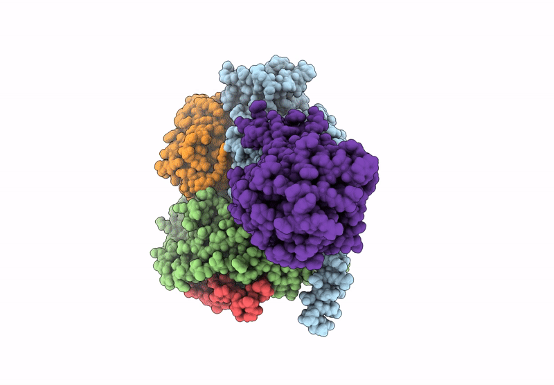 9BIP image