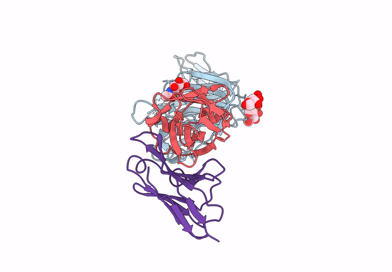 9BJ2 image