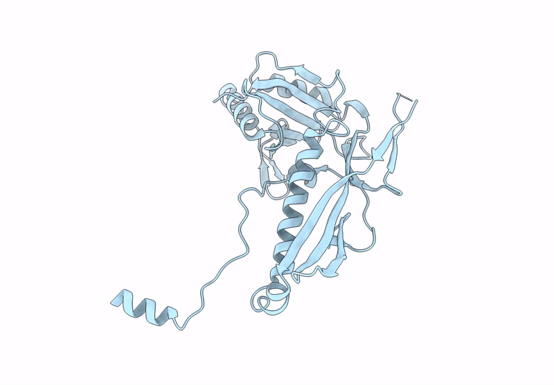 9BJE image