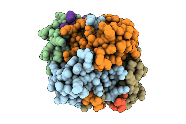 9BJF image