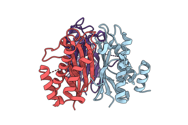 9BKB image