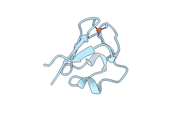 9BKT image