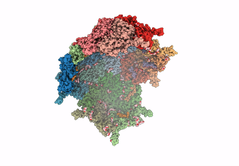9BKX image