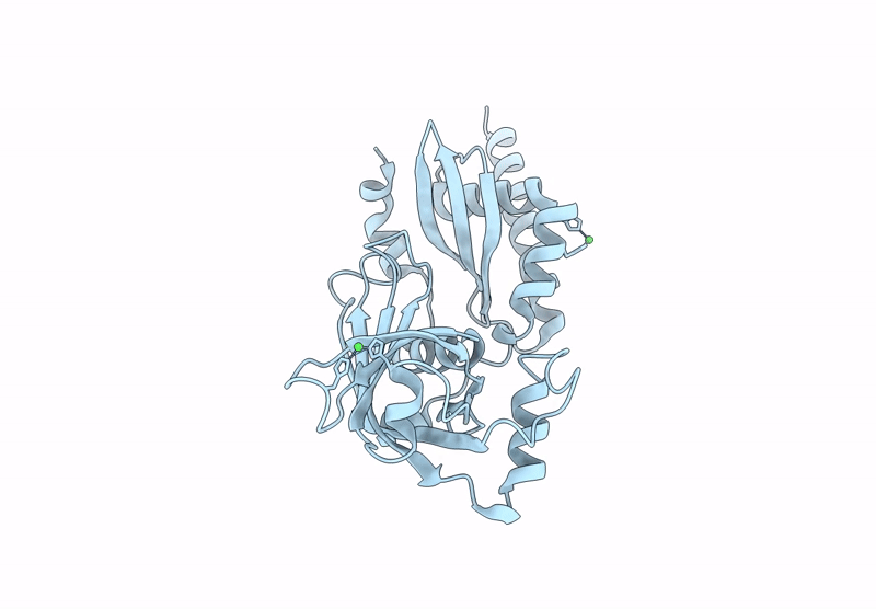 9BL1 image