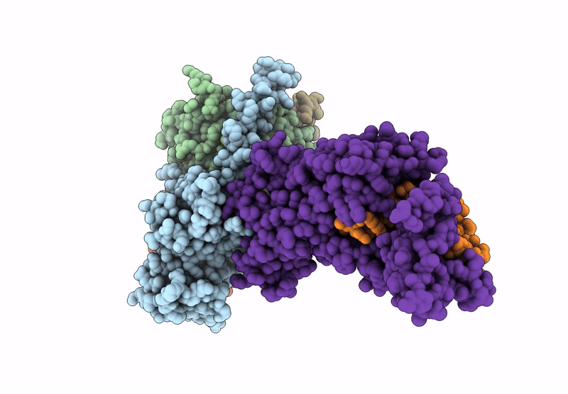 9BLB image