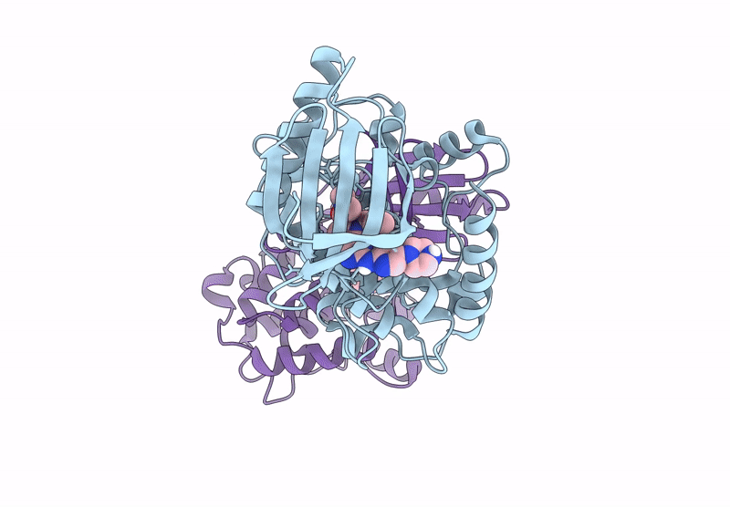 9BLH image