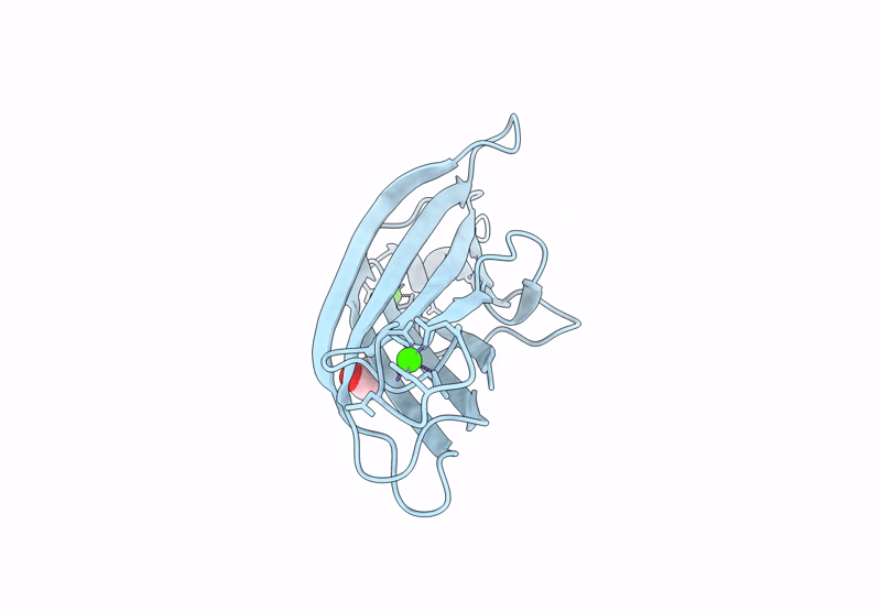 9BLP image