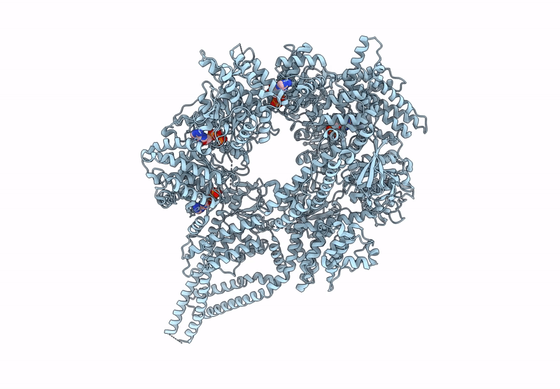 9BM5 image