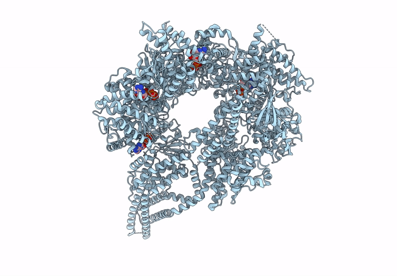 9BM6 image