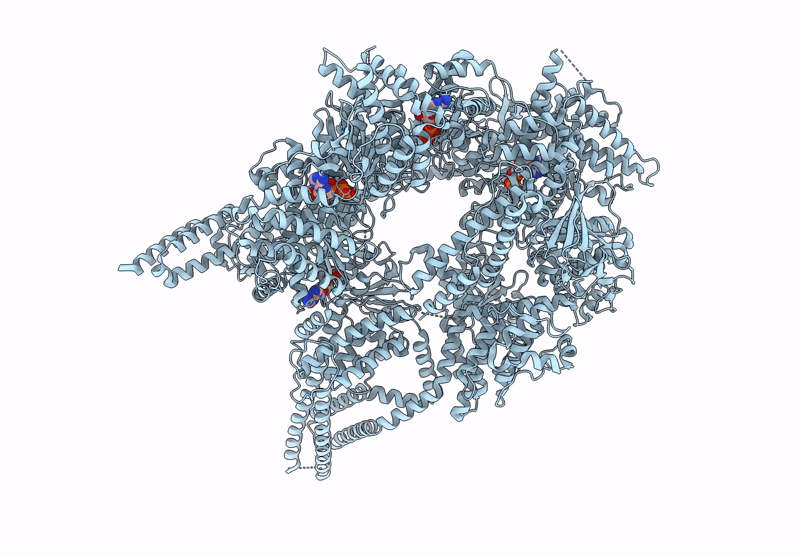 9BM8 image