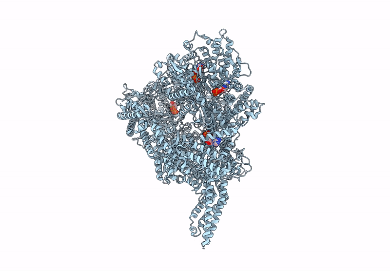 9BMB image