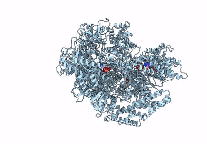 9BMJ image