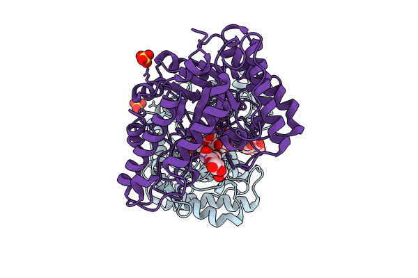 9BMK image