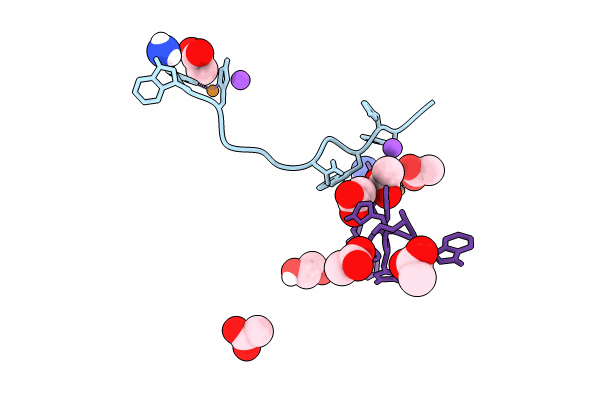 9BNH image