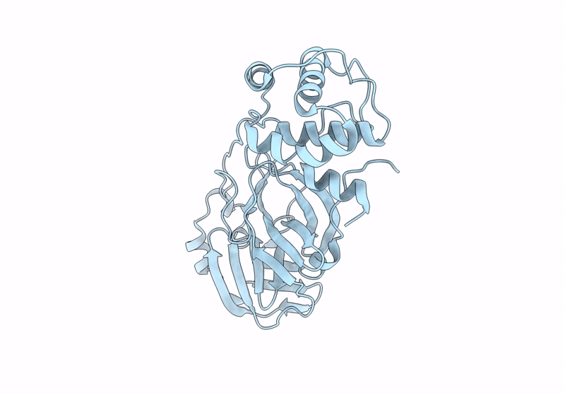 9BNT image