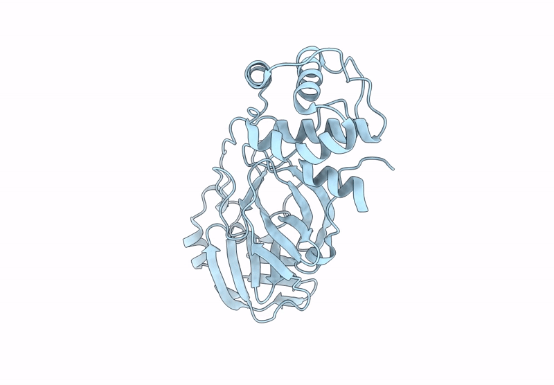 9BNV image