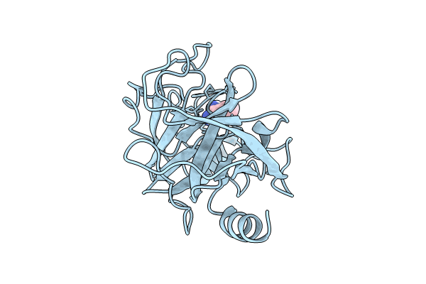 9BOM image