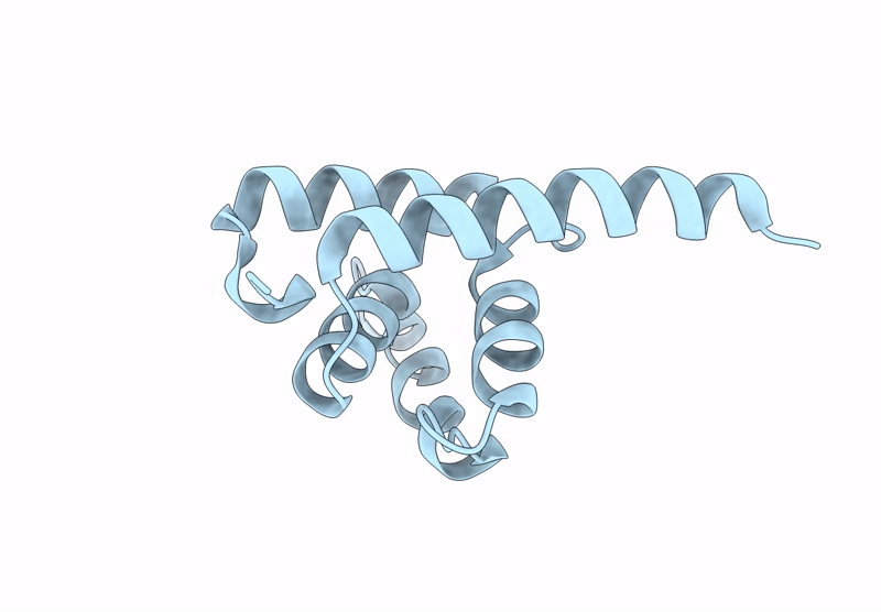 9BP2 image
