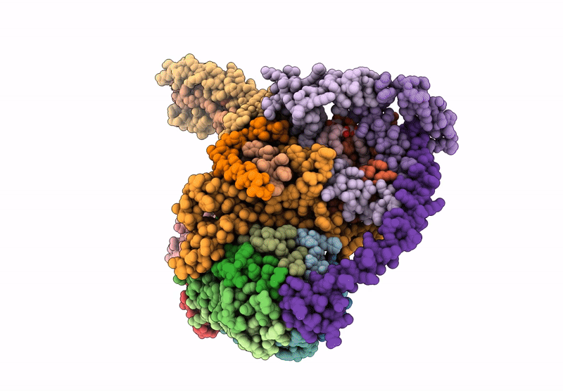 9BPG image