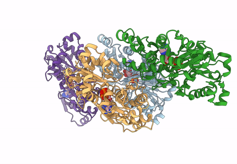 9BPH image