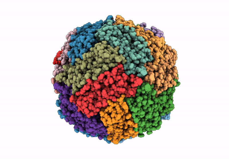 9BPK image