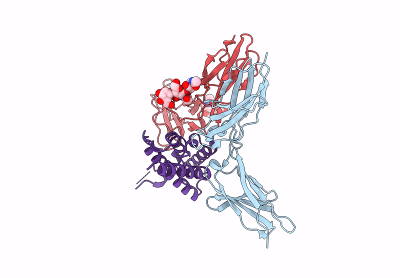 9BPU image