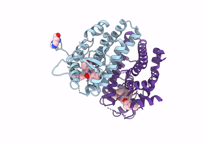 9BPX image