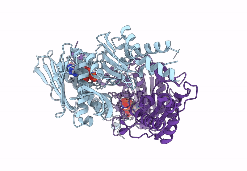 9BQ6 image