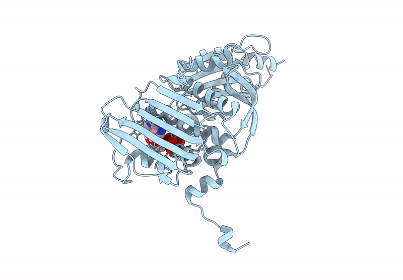 9BQ8 image
