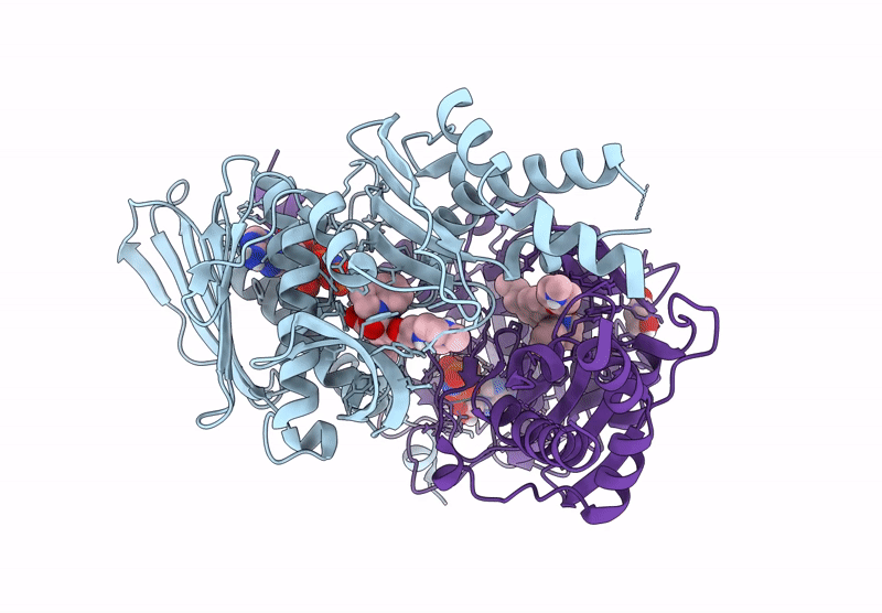 9BQB image