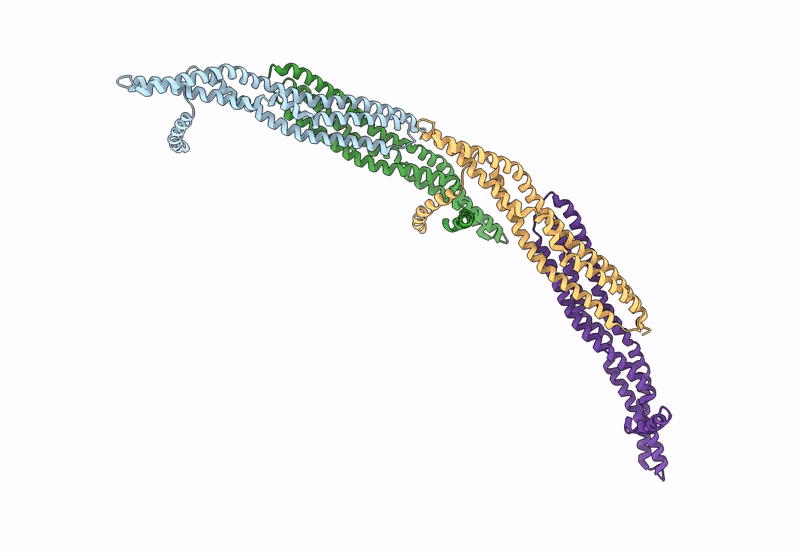 9BQX image