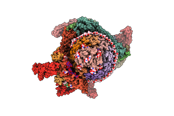 9BRD image
