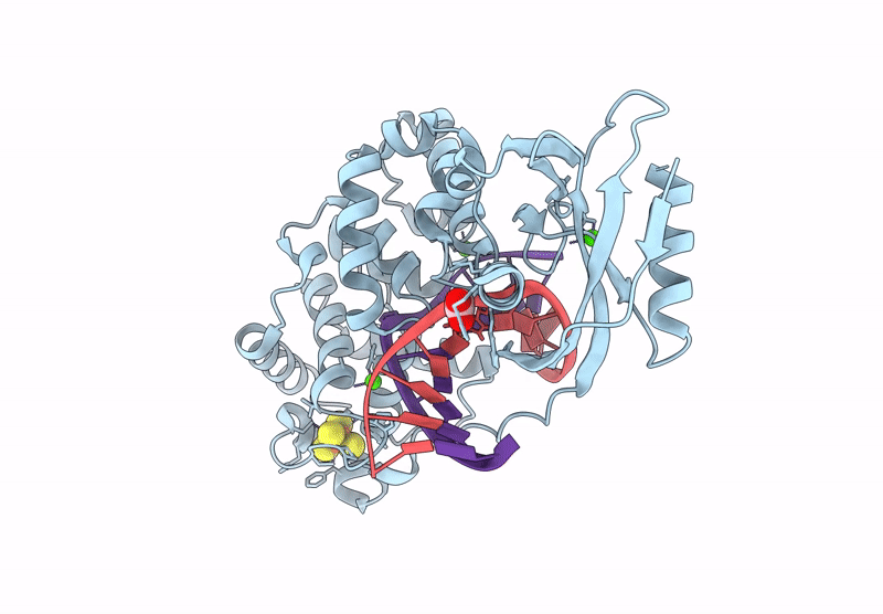 9BS2 image
